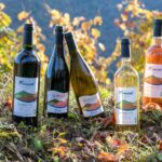 Domaine Mousset (Vins d'Entraygues - Le Fel)