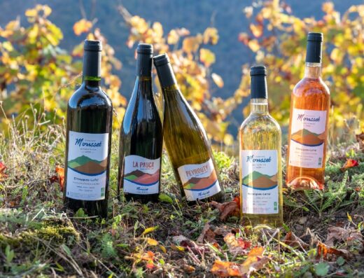 Domaine Mousset (Vins d'Entraygues - Le Fel)