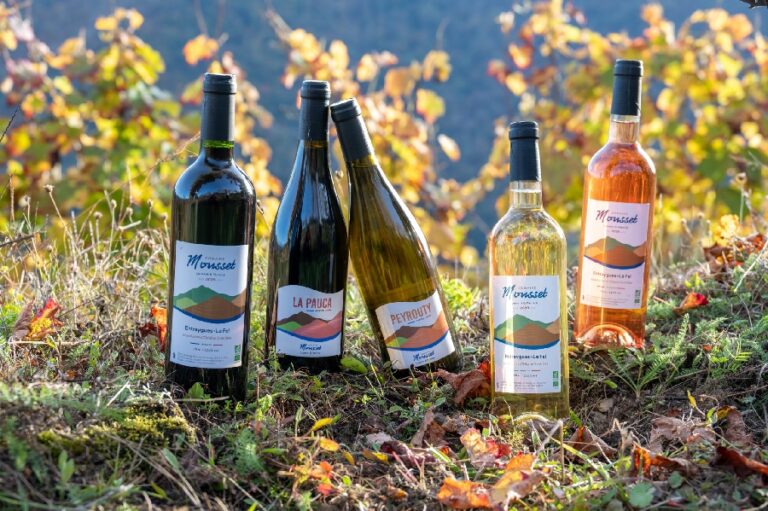 Domaine Mousset (Vins d&rsquo;Entraygues – Le Fel)
