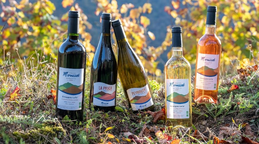 Domaine Mousset (Vins d'Entraygues - Le Fel)