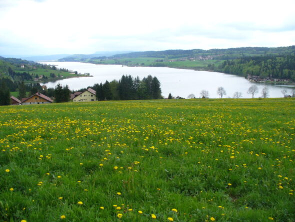 Lac de Saint-Point