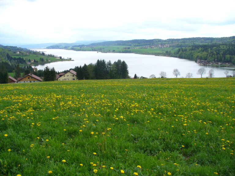 Lac de Saint-Point