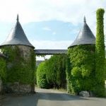 La Noue Saint Aubin de Luigné