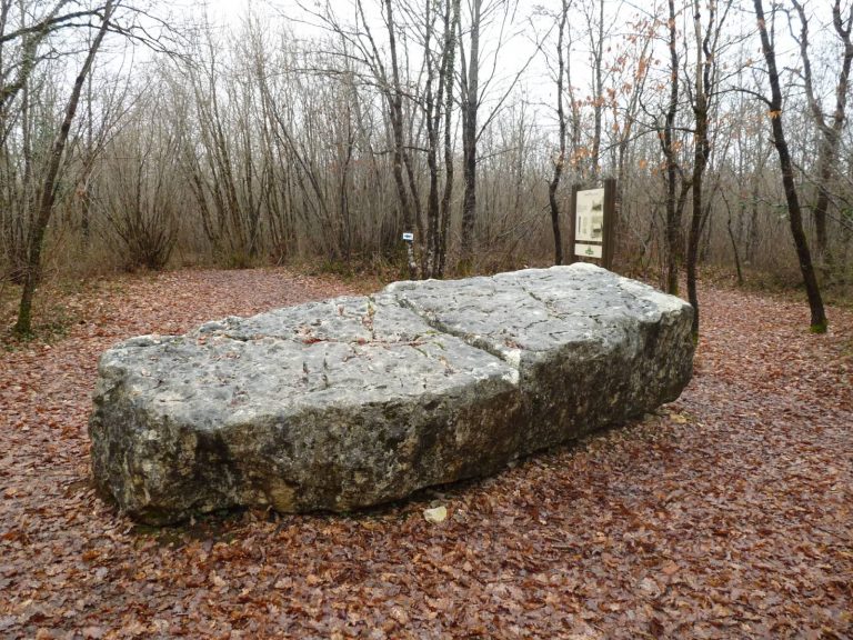 Mégalithes « La Pierre du sacrifice »