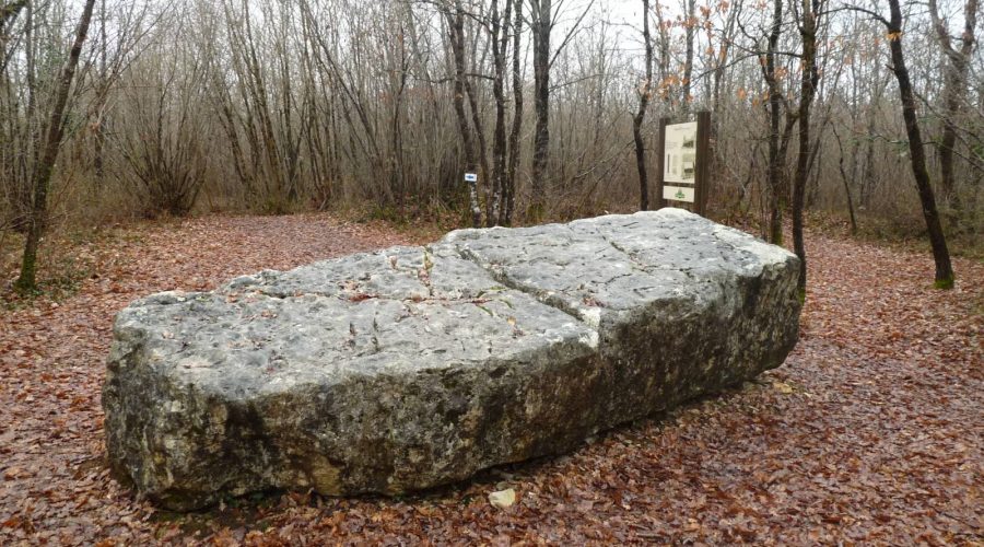 Mégalithes "La Pierre du sacrifice"