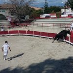 Arènes de Pélissanne