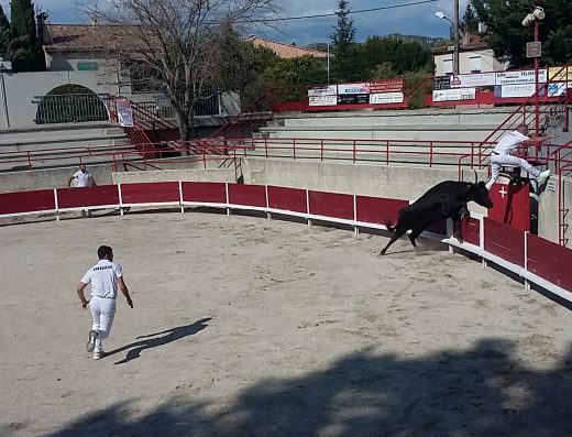 Arènes de Pélissanne