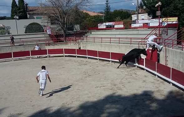 Arènes de Pélissanne
