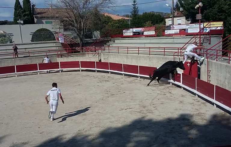 Arènes de Pélissanne