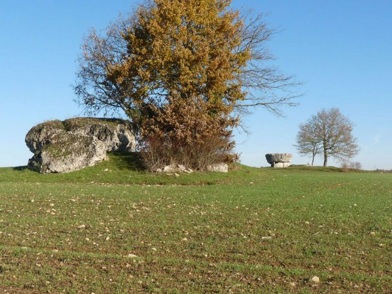 Mégalithes « La Grosse Pérotte »