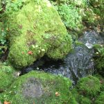 Sources de l'Ignon
