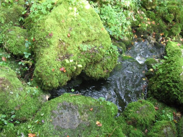 Sources de l'Ignon