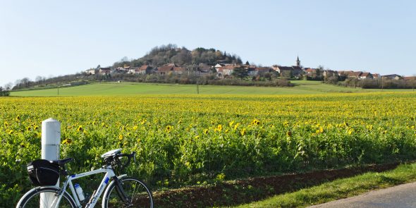 Les souterrains de Saulx le Duc