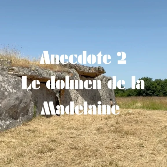Dolmaine Gennes