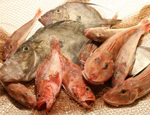 Étape 12 – LA SOUPE DE POISSON AZAÏS-POLITO