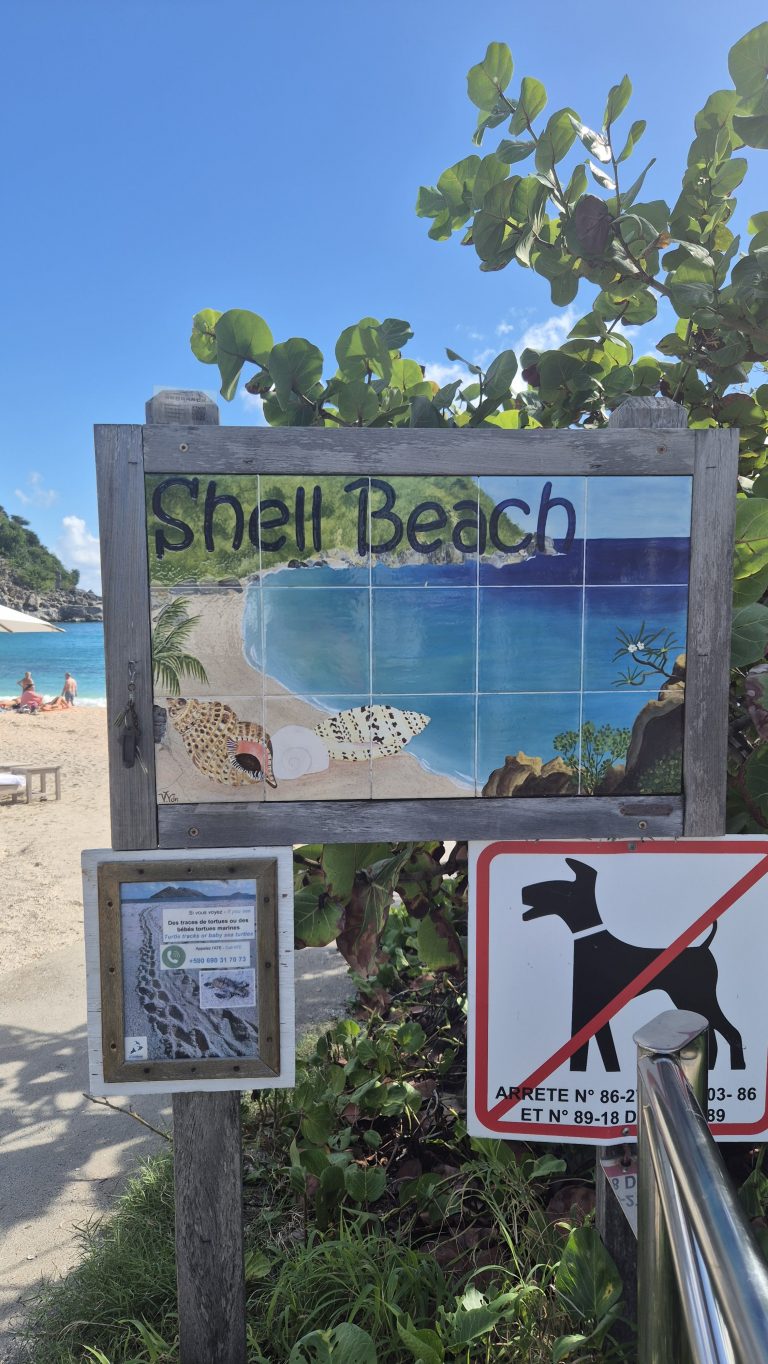 10 Shell Beach