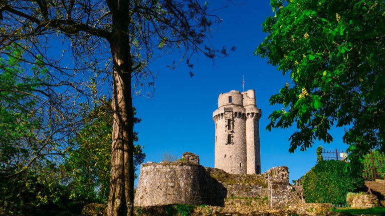 Vue forêt tour Montlhéry